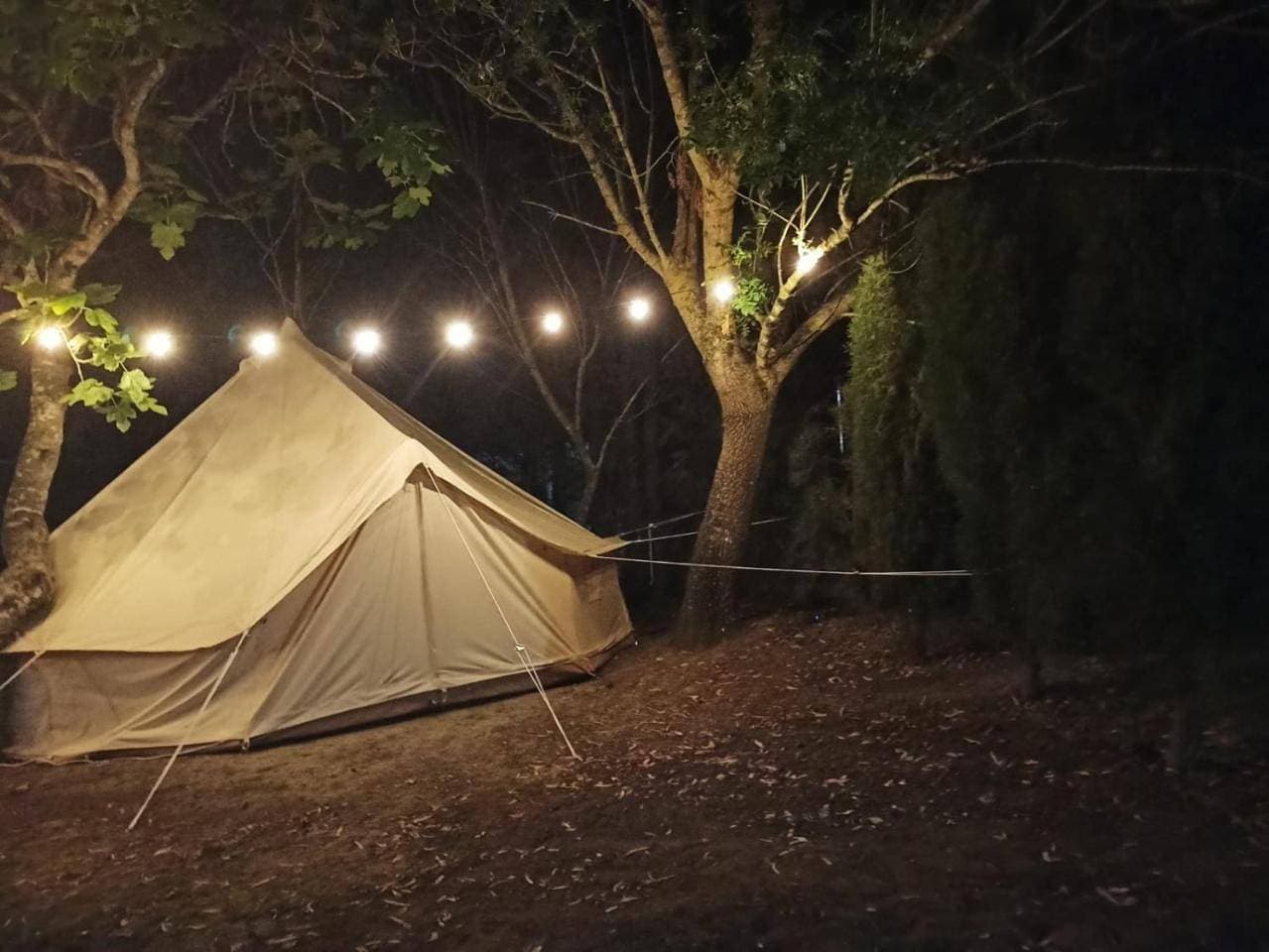 Foto 6 von 10: Tent
