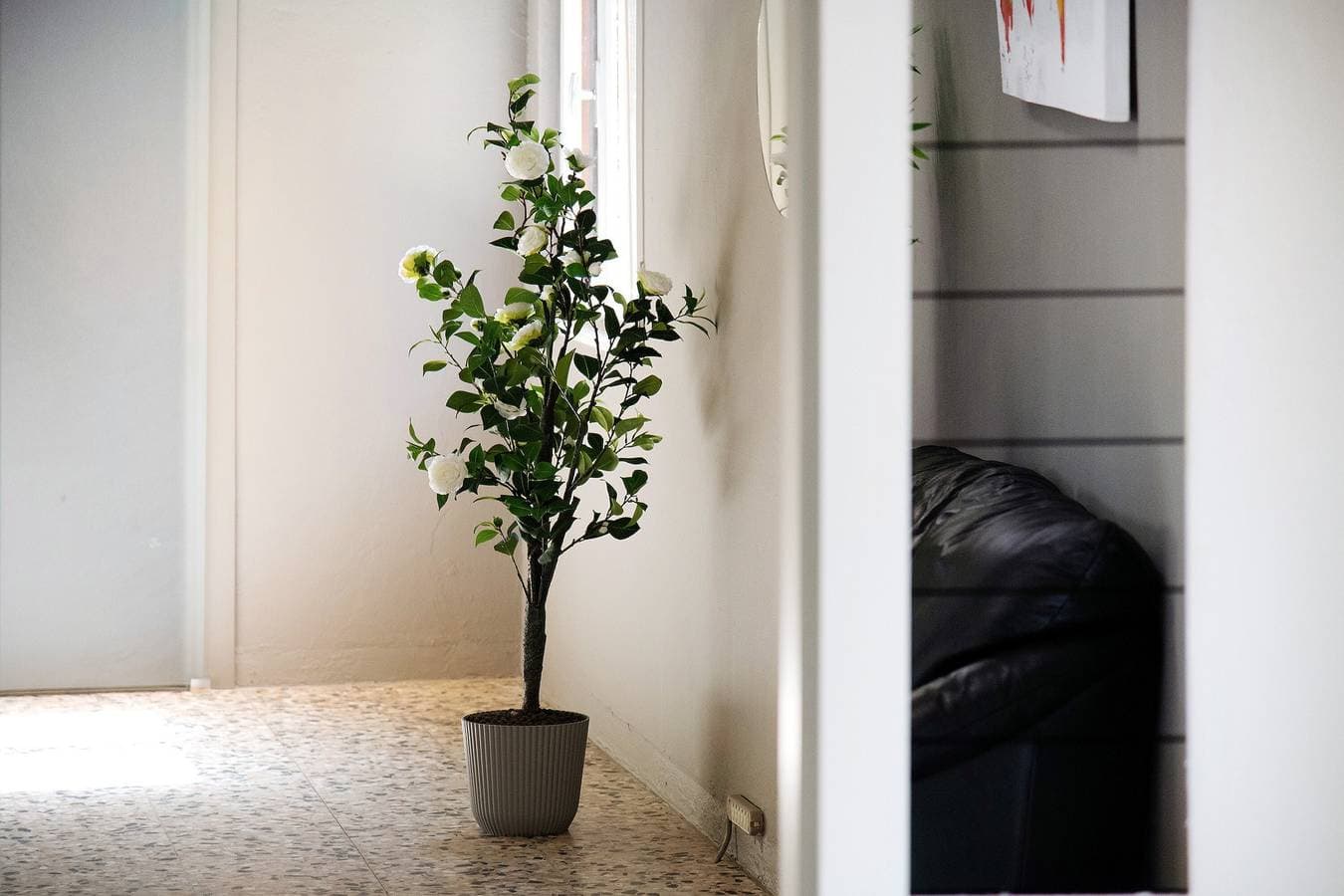 Foto 10 von 24: Ferienwohnung "Dongo Garden" mit privatem Garten & WLAN