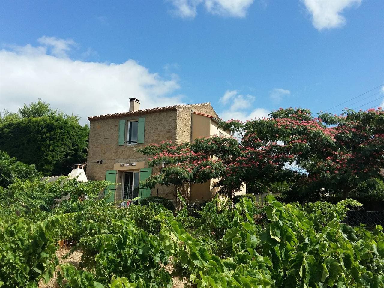 La Vigneraie 1