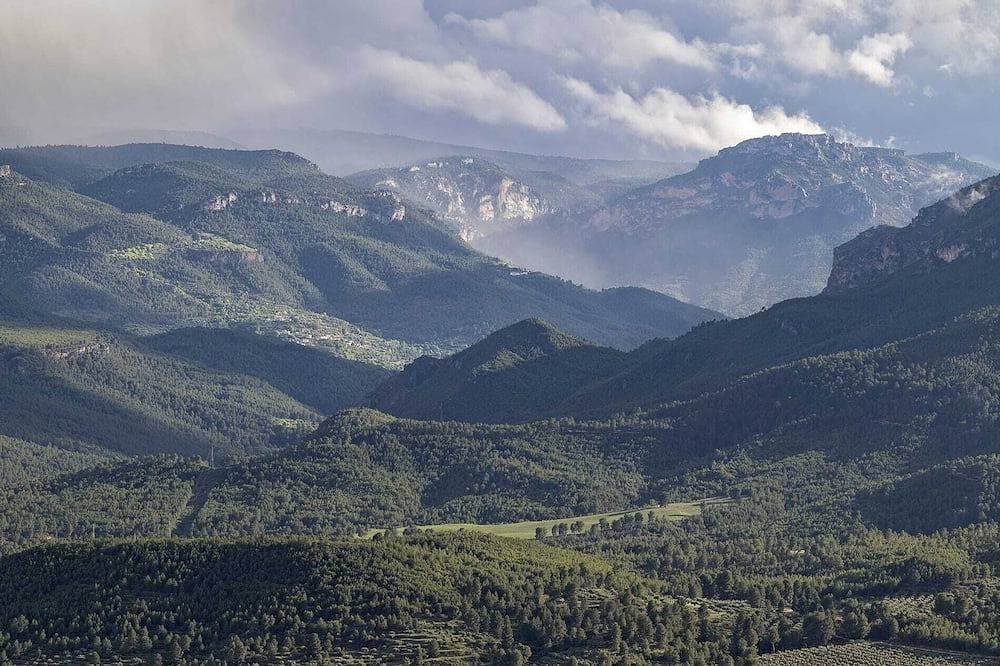 Casas de Madera en las Montañas con Piscina y Barbacoa, en la Sierra del Segura 1