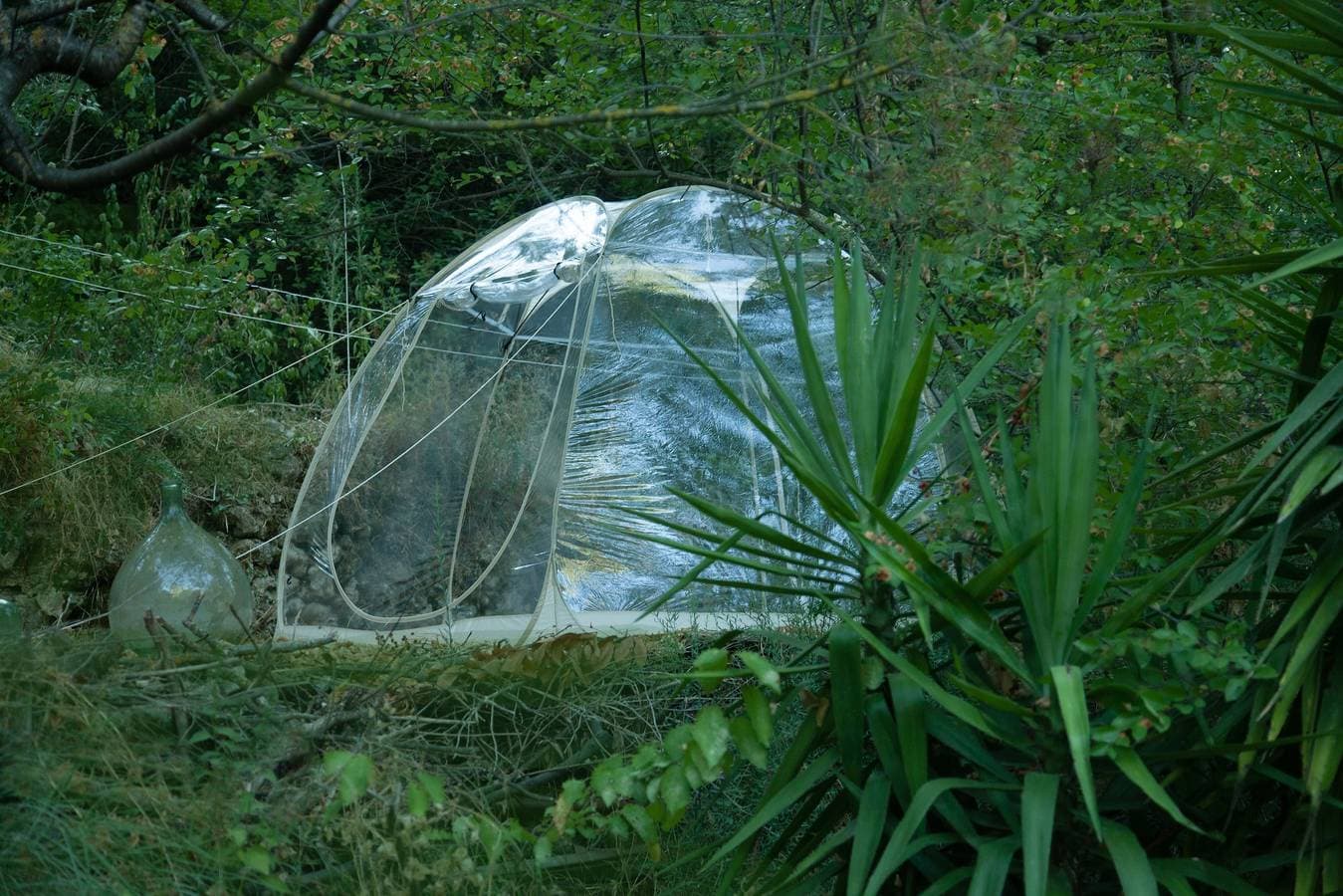 Foto 3 von 56: Tiny House 'Terre Libre 2, Glamping'