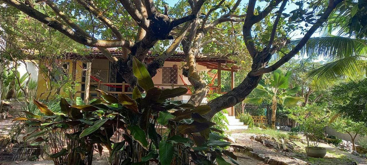 Foto 6 von 63: Standard Bungalow