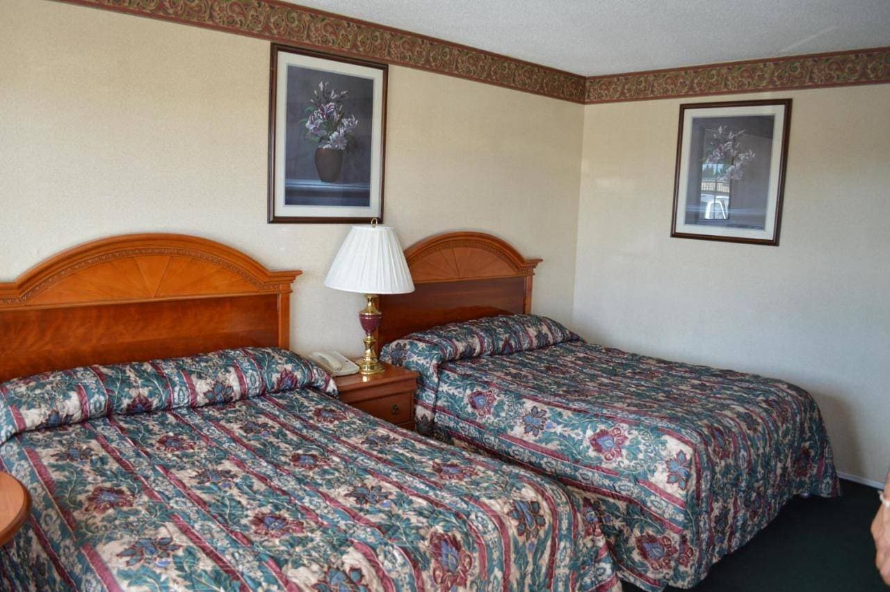 Foto 5 von 8: King Room
