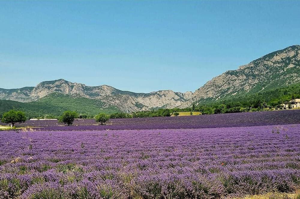 Foto 10 von 21: Gorgeous home in Visan