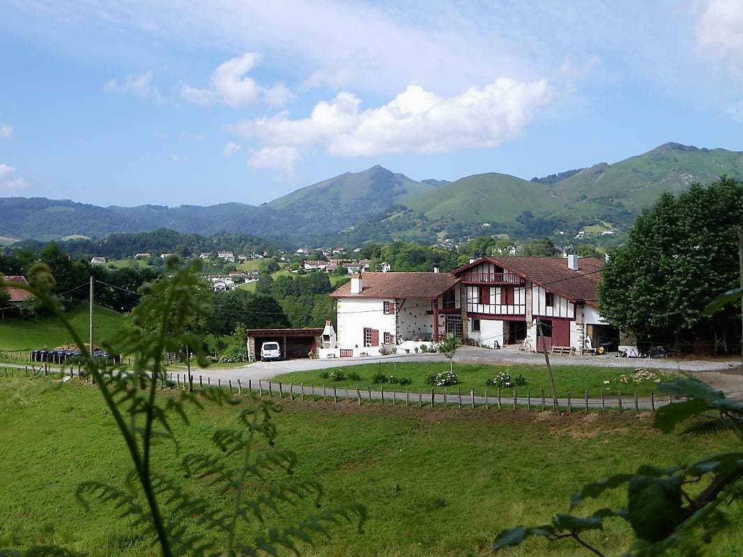Zamatelua 2 1