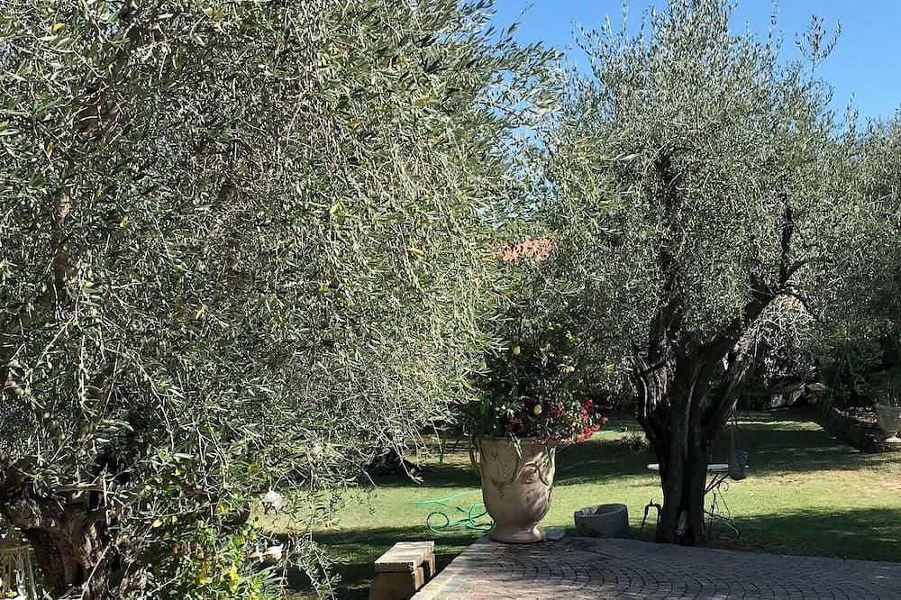 Foto 10 von 25: Le Bastidon des Oliviers, Landhaus am Tor zu Cannes