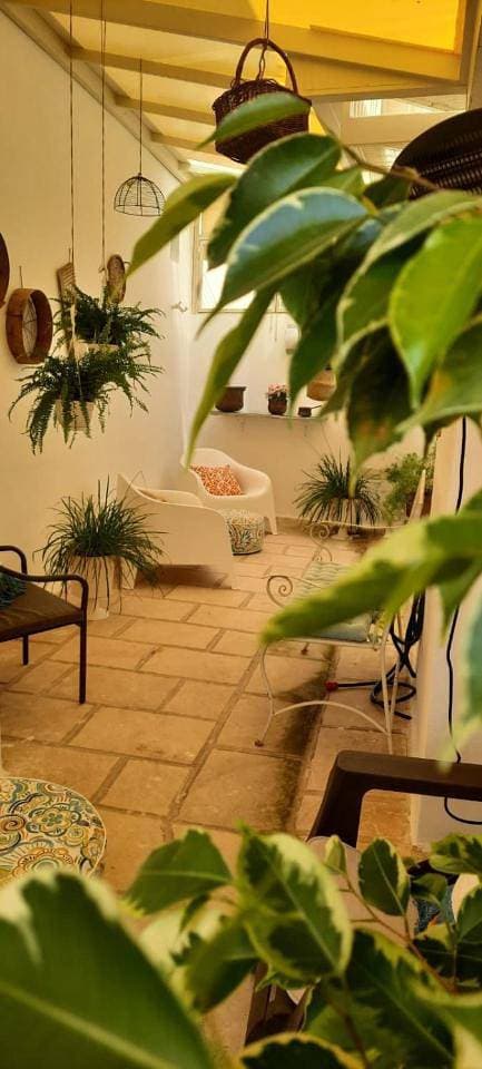 Foto 8 von 42: Suite with Terrace