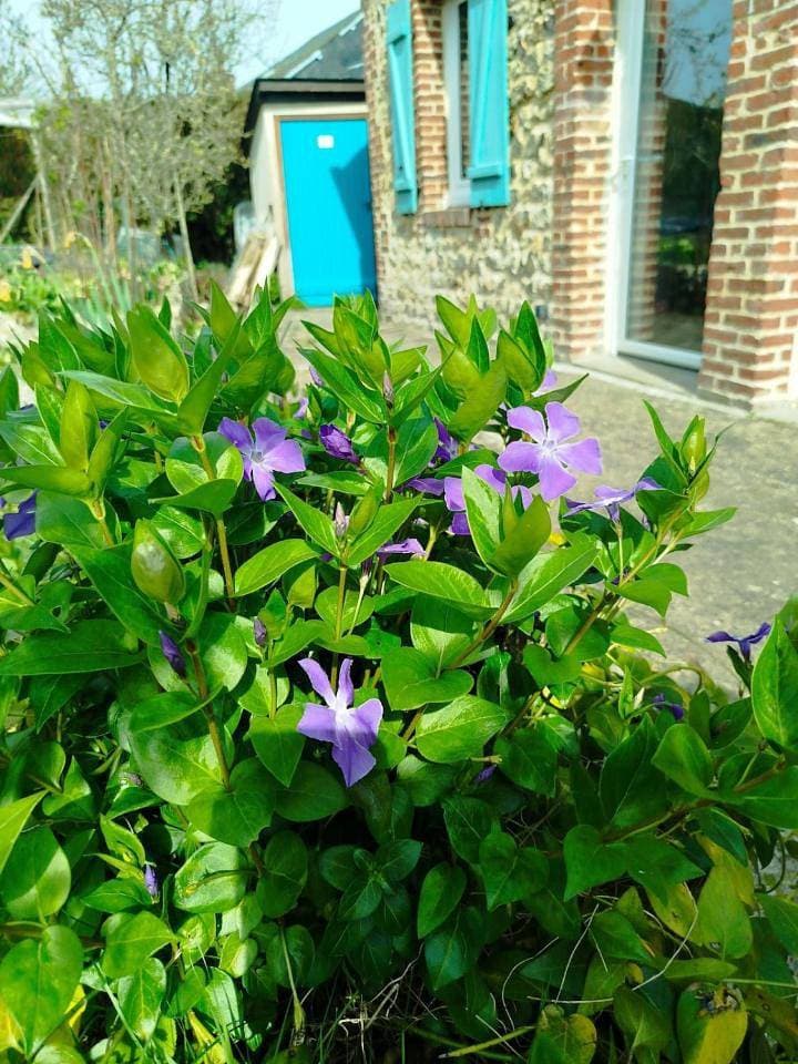 Foto 12 von 18: Holiday Home