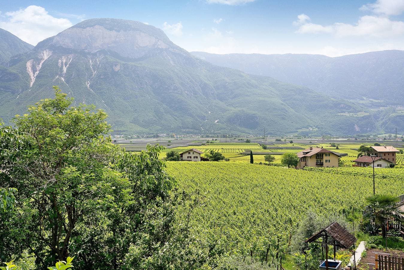 Foto 4 von 25: Ferienwohnung "Haus Weinblick 5" mit Bergblick, Garten & WLAN