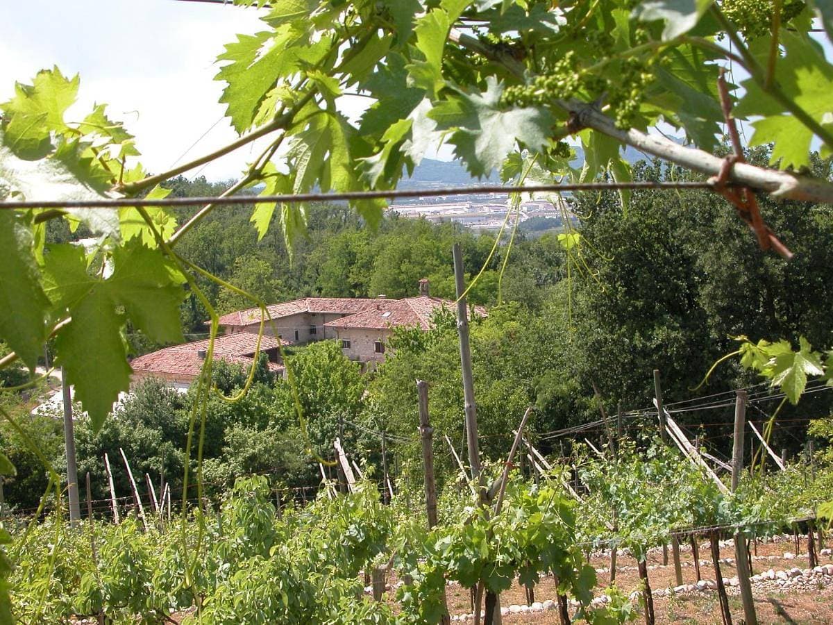 Agriturismo Ca' Verde 1