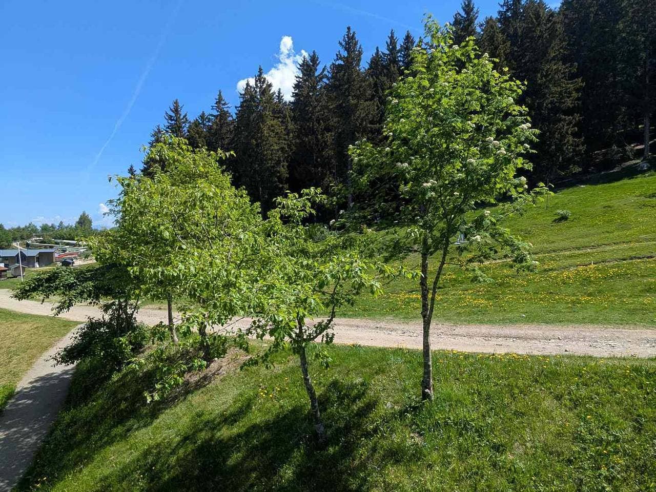 Foto 8 von 9: Studio an der Piste, Haustiere erlaubt
