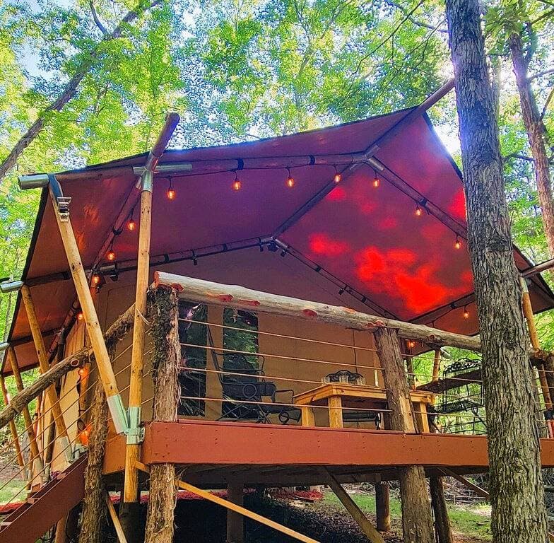 Foto 10 von 36: Glamping In The Smokies--Private 5 acres--Lake Access....