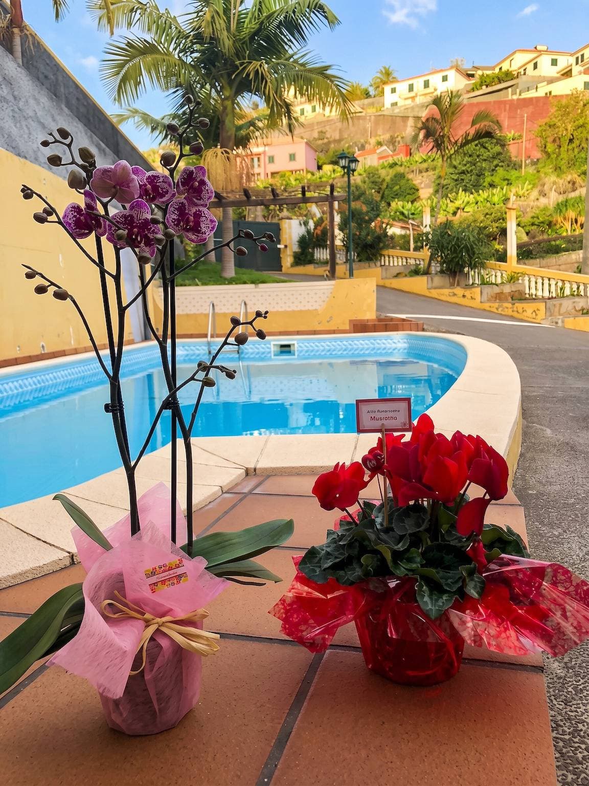 Foto 5 von 24: Angenehme Wohnung mit privatem Pool in Lombo Do Doutor - 50 m²
