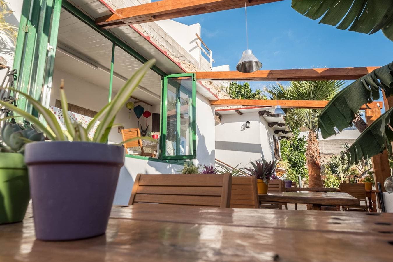 Foto 13 von 20: Traditionelles Ferienhaus "Casa Tabaiba" in Alcalá mit Meerzugang und eigener Terrasse