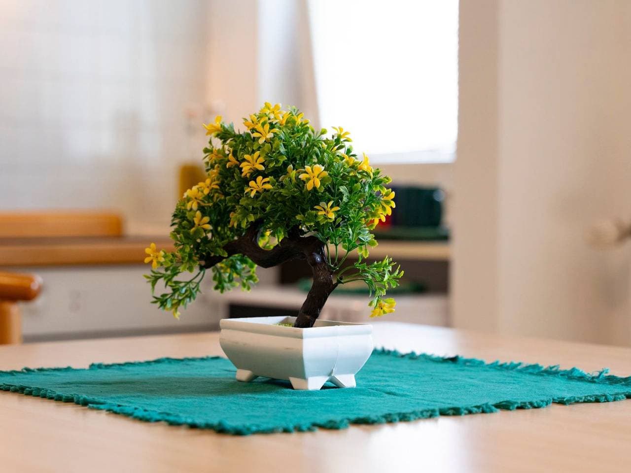 Foto 13 von 25: Der Bonsai