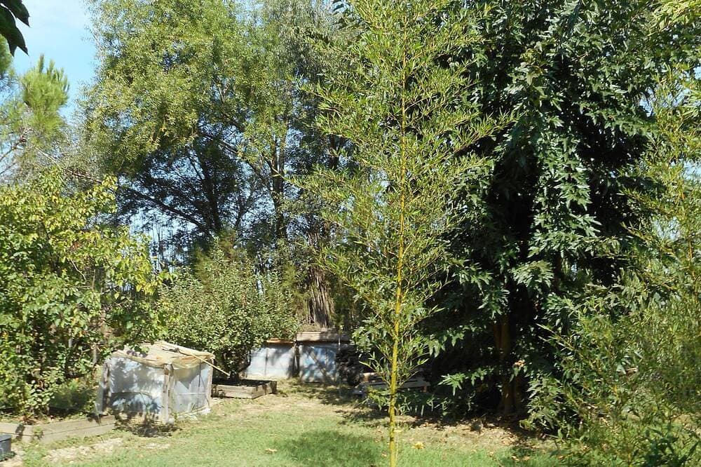 Foto 10 von 30: Schöne Lage, günstig zur Ruhe in einem Weiler in der Camargue