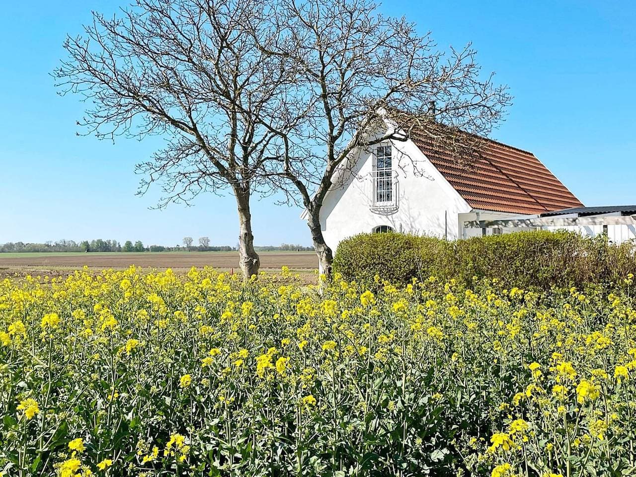 Foto 5 von 27: 6 Personen Ferienhaus in Skivarp