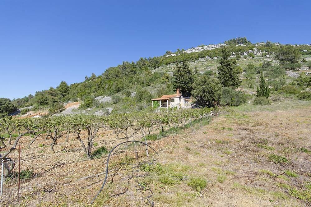 Haus Silvana - Postira - Insel Brac 1