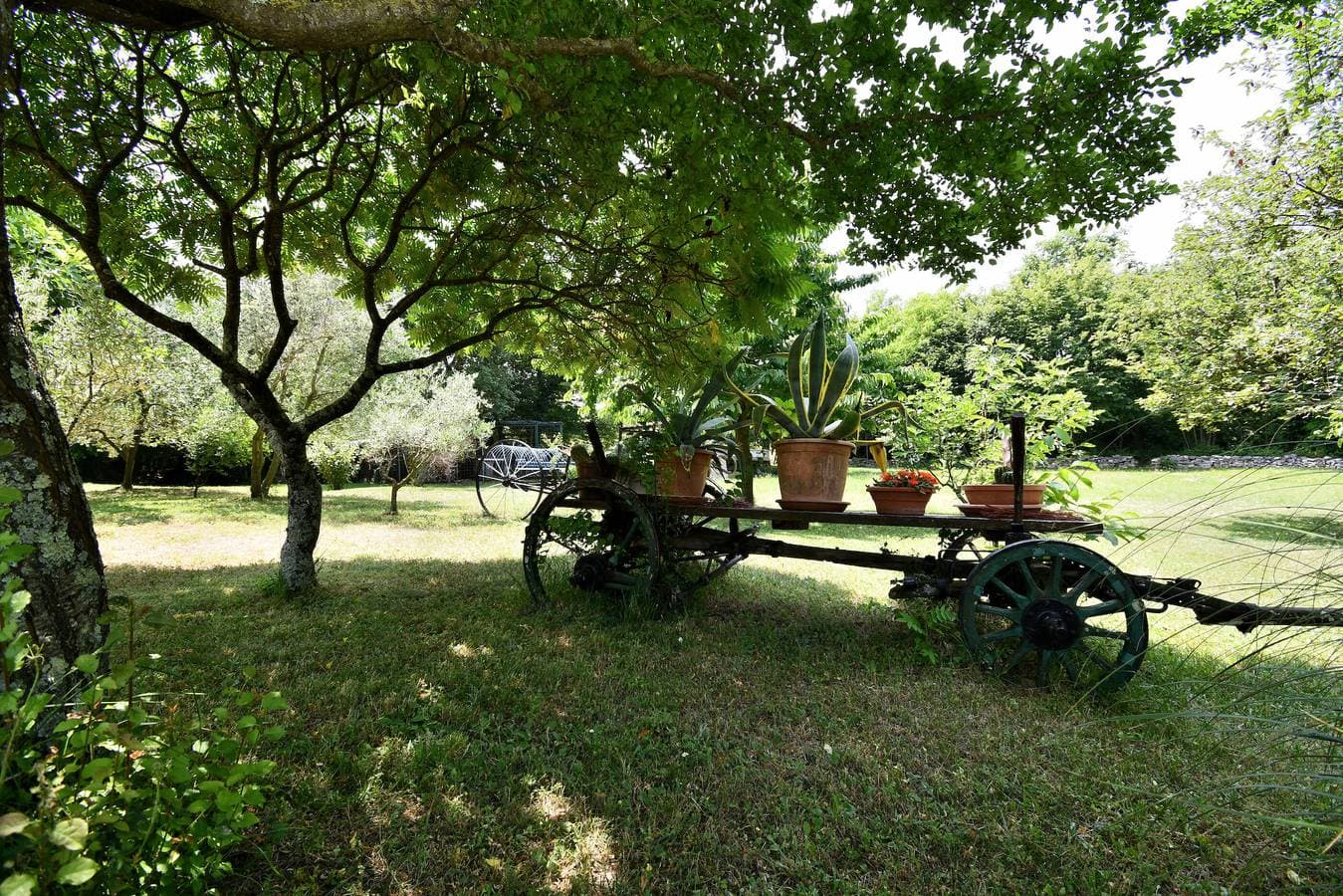 Foto 4 von 46: Apartment Lucija