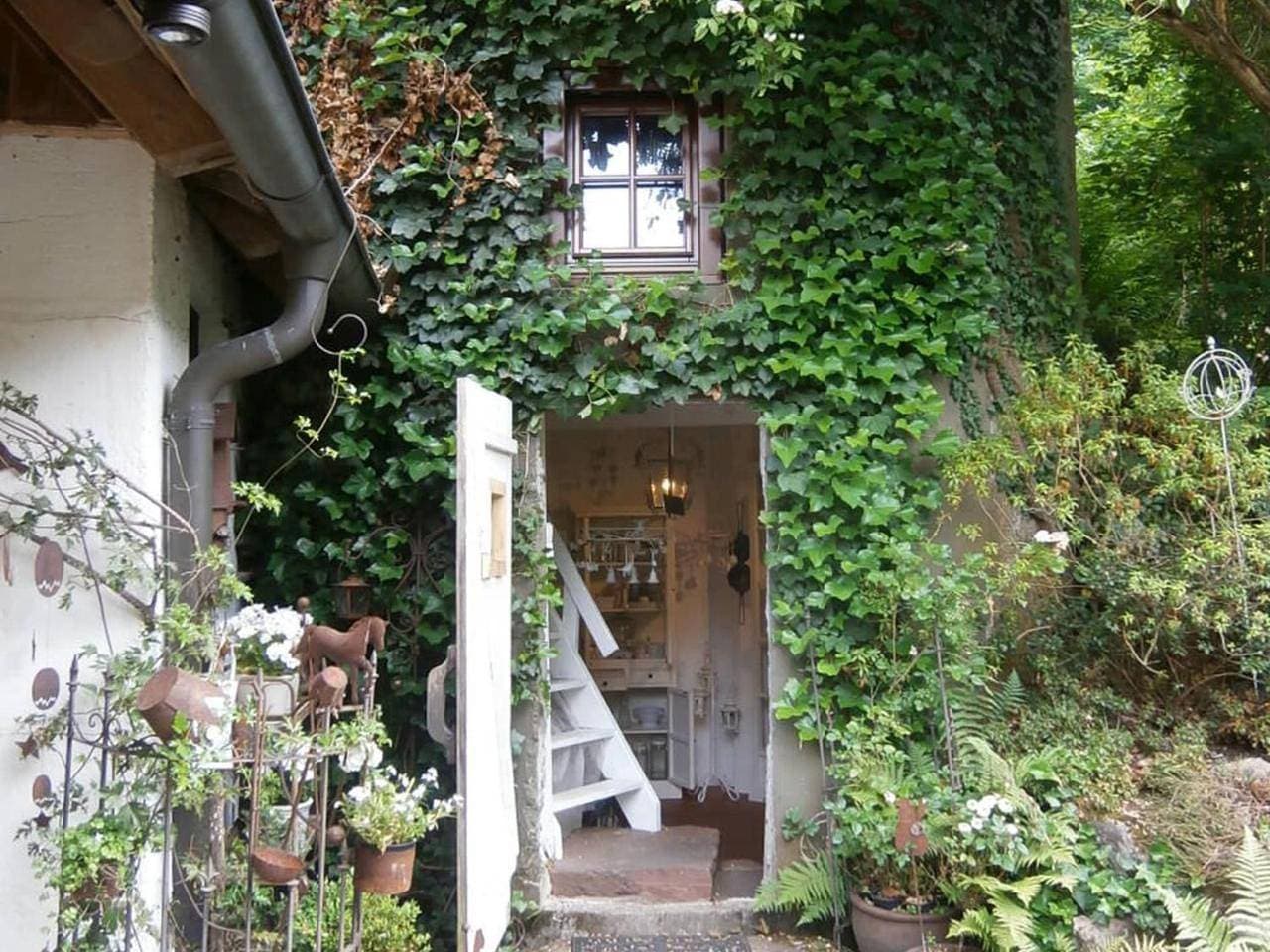 Foto 6 von 28: Apartment - Ground Floor