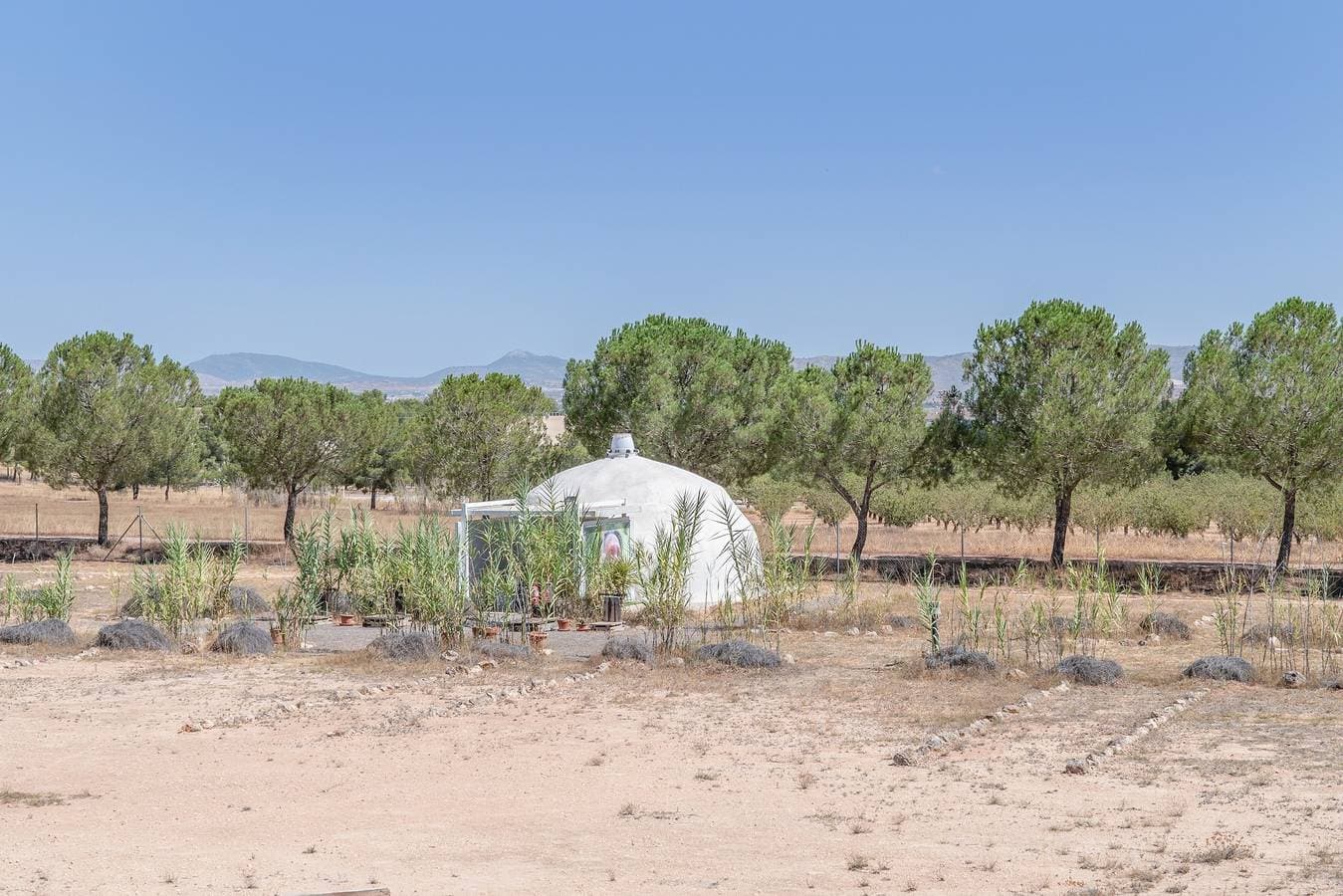 Domo Glamping Villena para Pareja 1