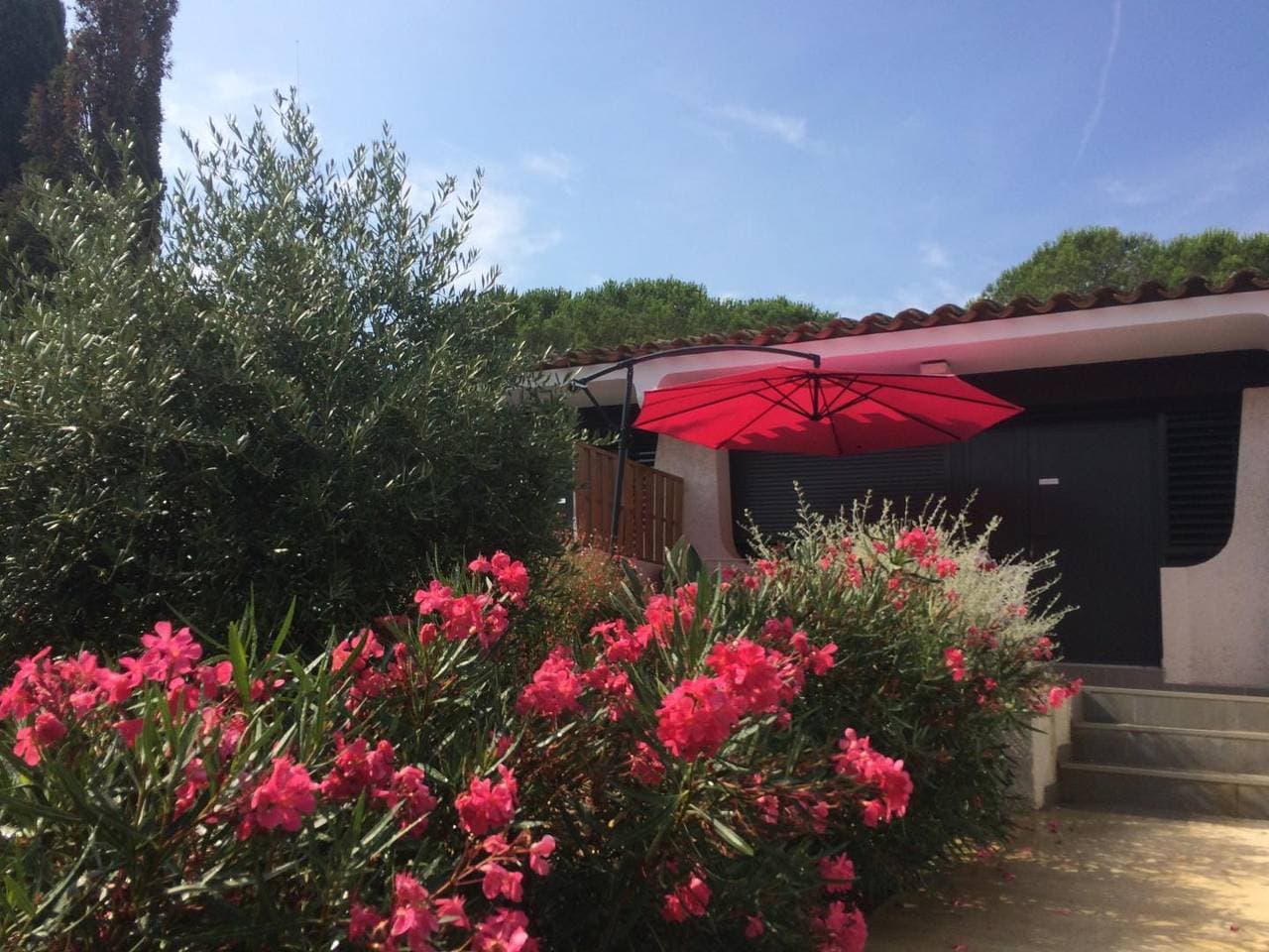 Foto 5 von 15: Carène