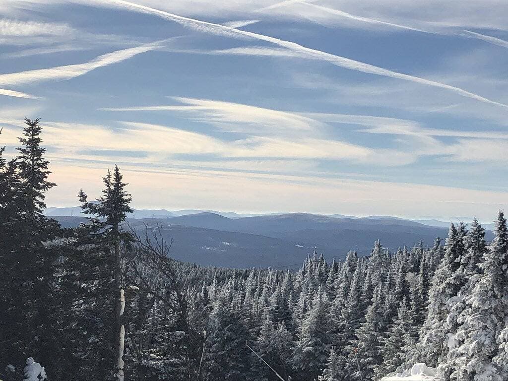 Foto 11 von 37: Gemütliches Bergschneehuhn auf Ski Home Trail