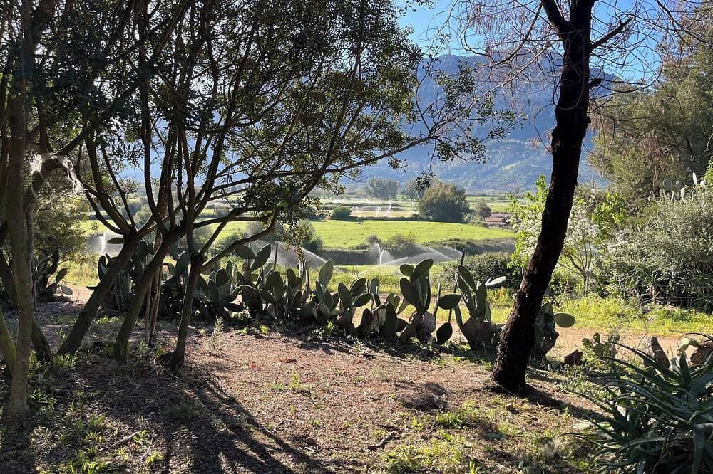 Foto 7 von 11: Casa Vacanza Funtanarva in Campagna