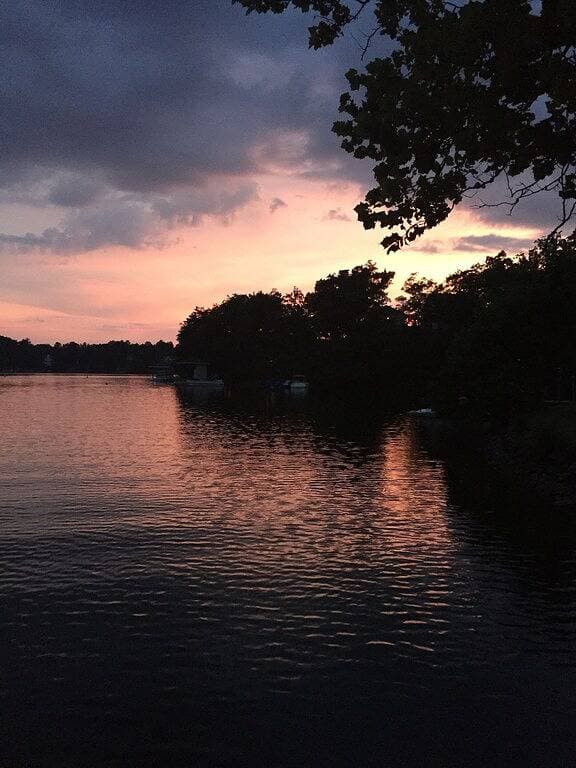 Foto 13 von 33: Cabin 1 at Cedar Key - Perfect lakefront getaway!