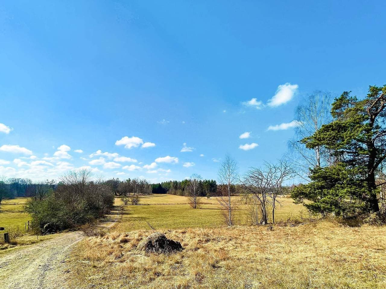 Foto 12 von 33: 5 Personen Ferienhaus in Fårbo