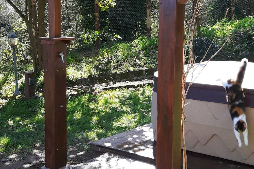 Foto 11 von 30: Hebald Gästehaus: Suite mit privatem Garten.