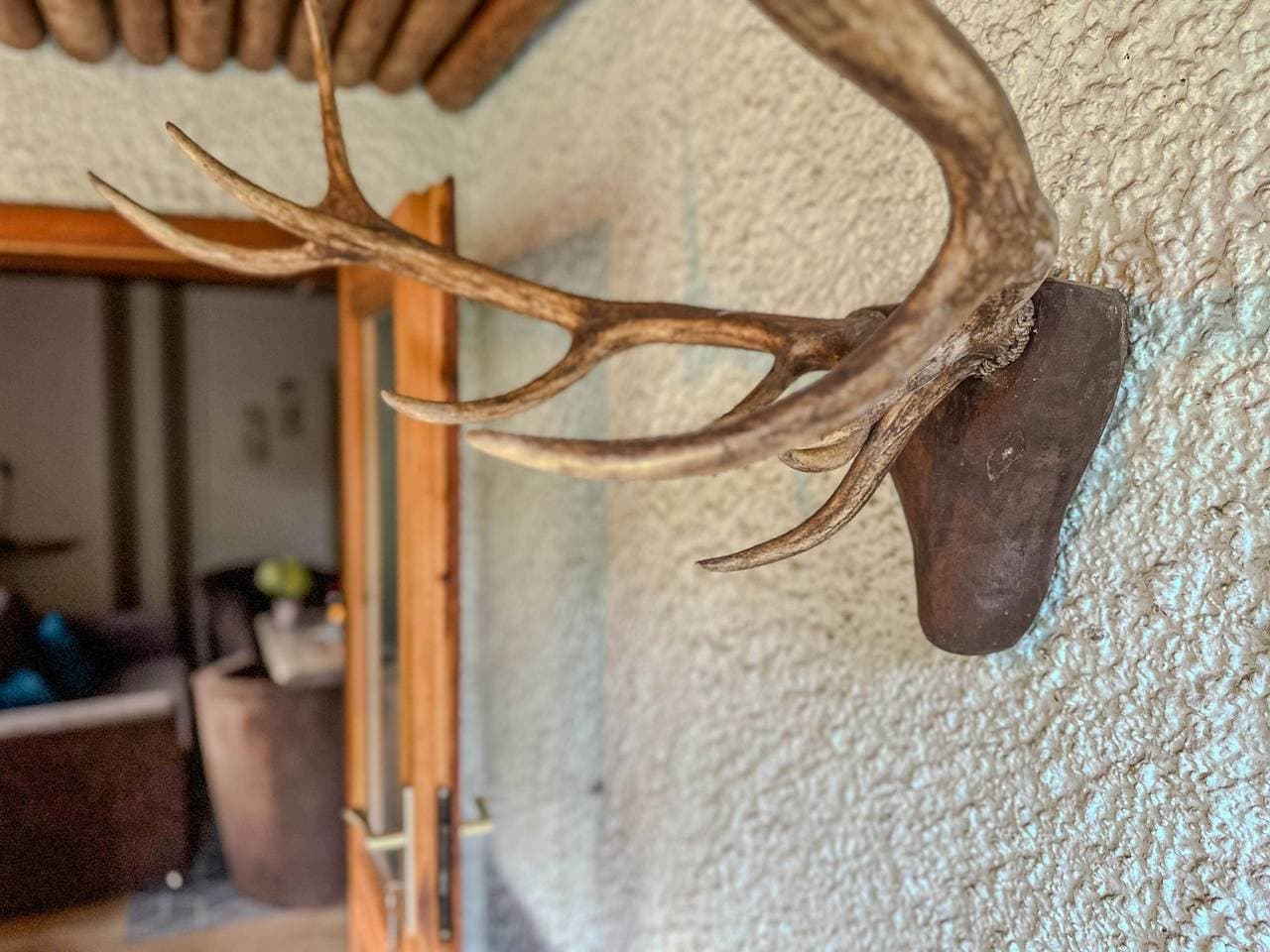 Foto 8 von 23: Kleines Ferienhaus am Waldrand im Thüringer Wald
