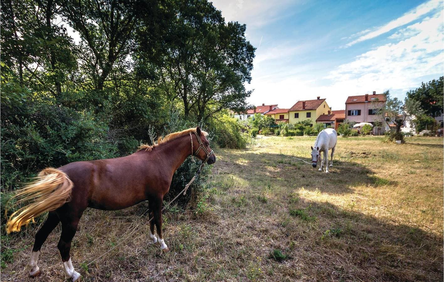 Foto 10 von 25: Komfortable Unterkunft, 2,5 km von der Küste entfernt: WLAN, Klimaanlage, Terrasse und Parkplatz!