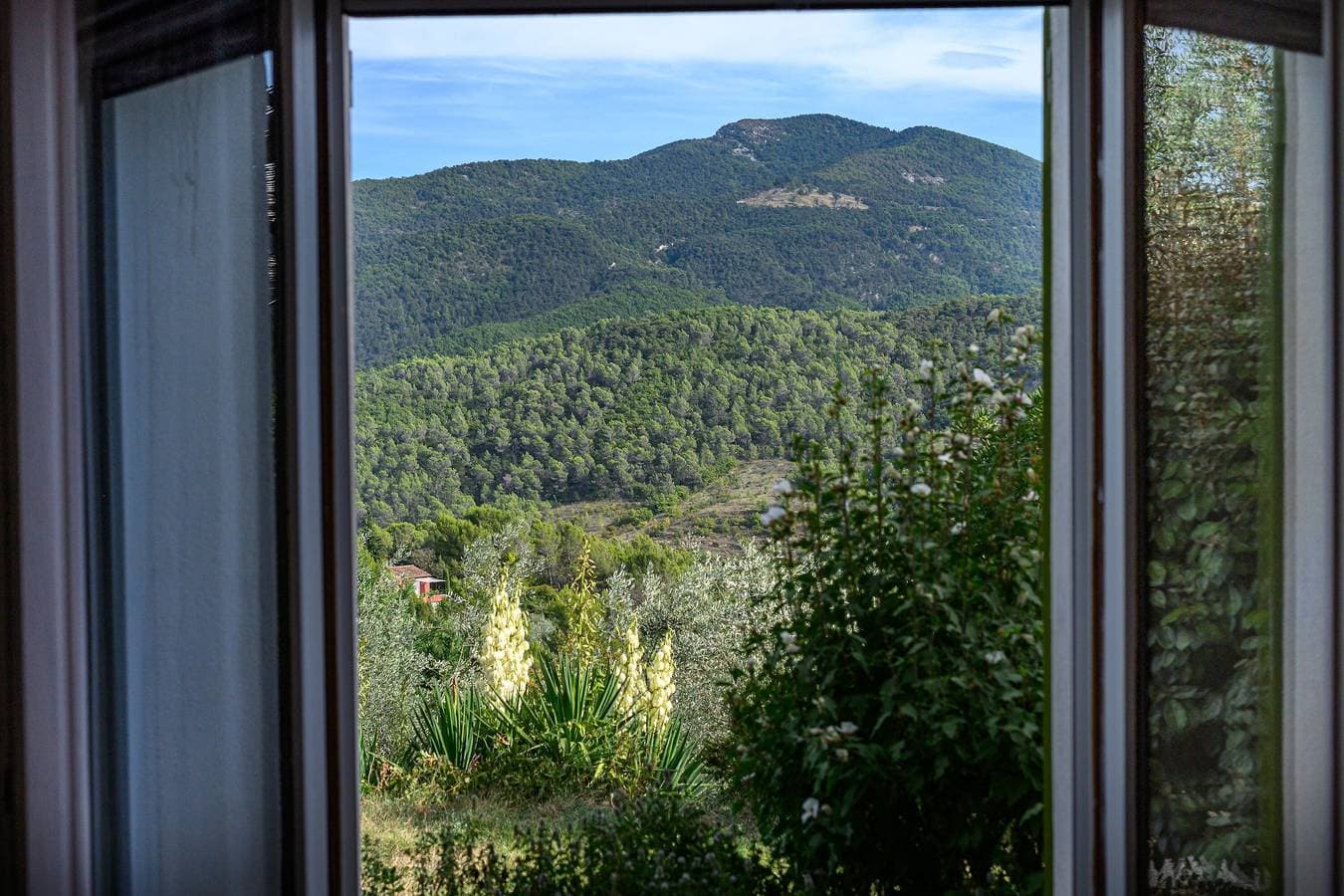 Foto 12 von 20: Gîte de Maric: Zwischen Olivenbäumen mit Pool, traumhafte Aussicht