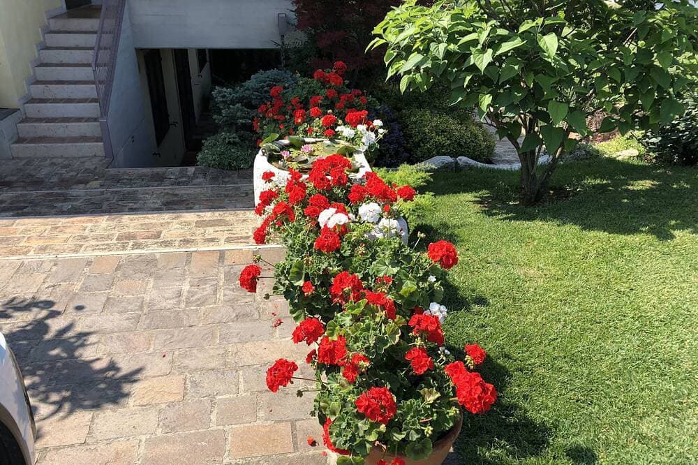 Foto 13 von 30: Apartment innerhalb einer Villa, großer Garten mit Blick auf See und Pool