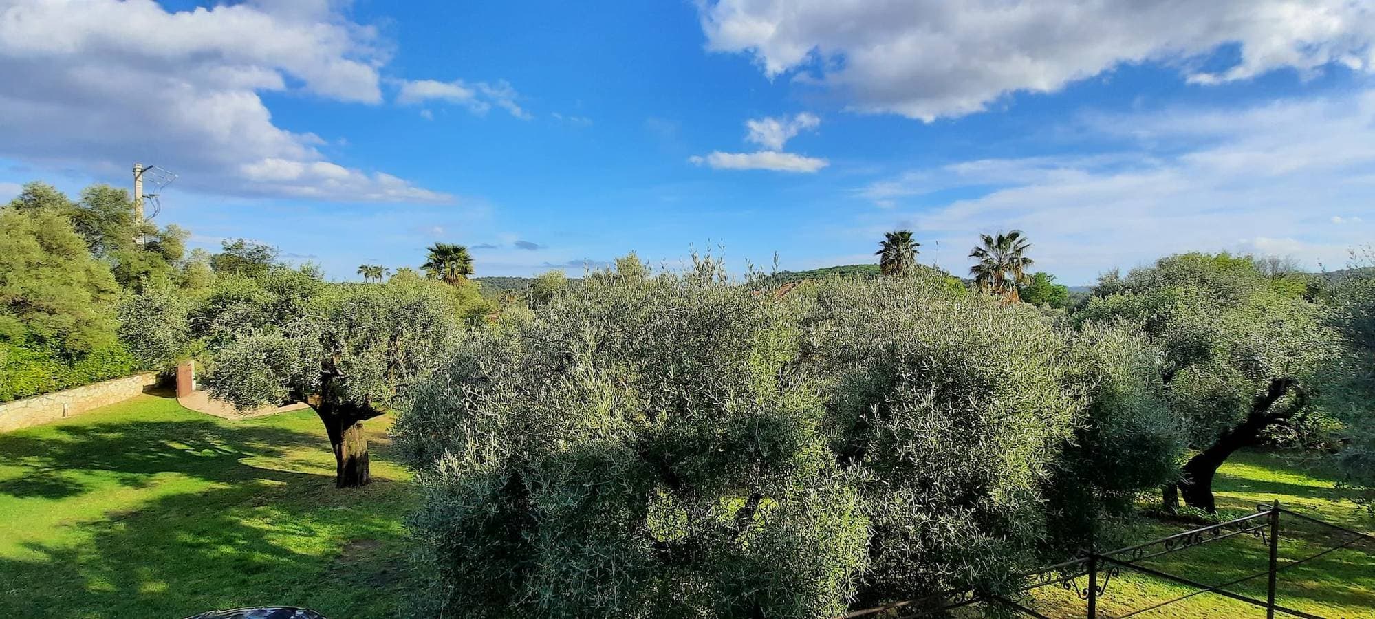 Foto 4 von 24: Ferienhaus für 8 Personen mit Garten