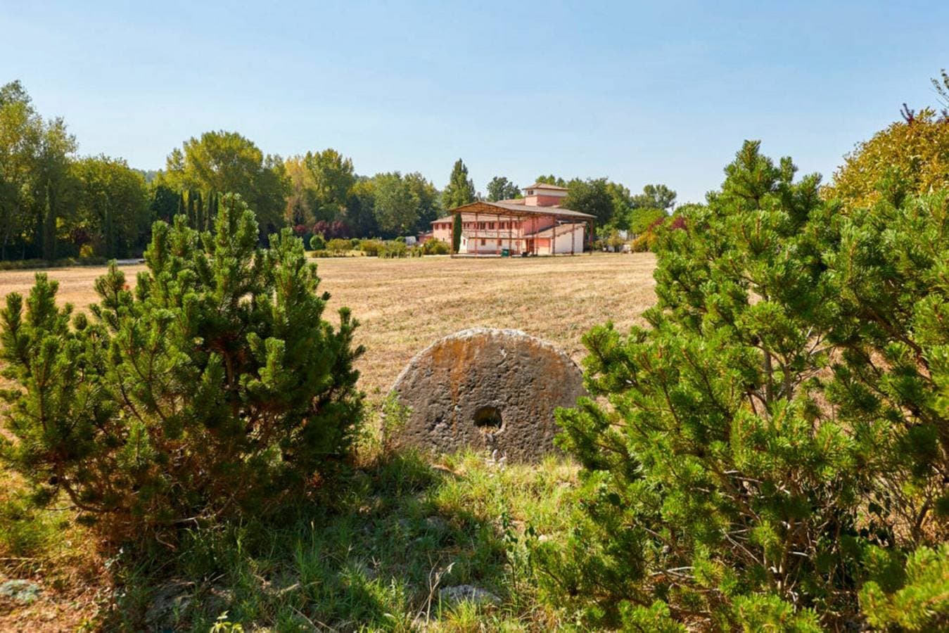 Foto 10 von 19: Agriturismo Il Molino Di Uncinano - Eliodoro