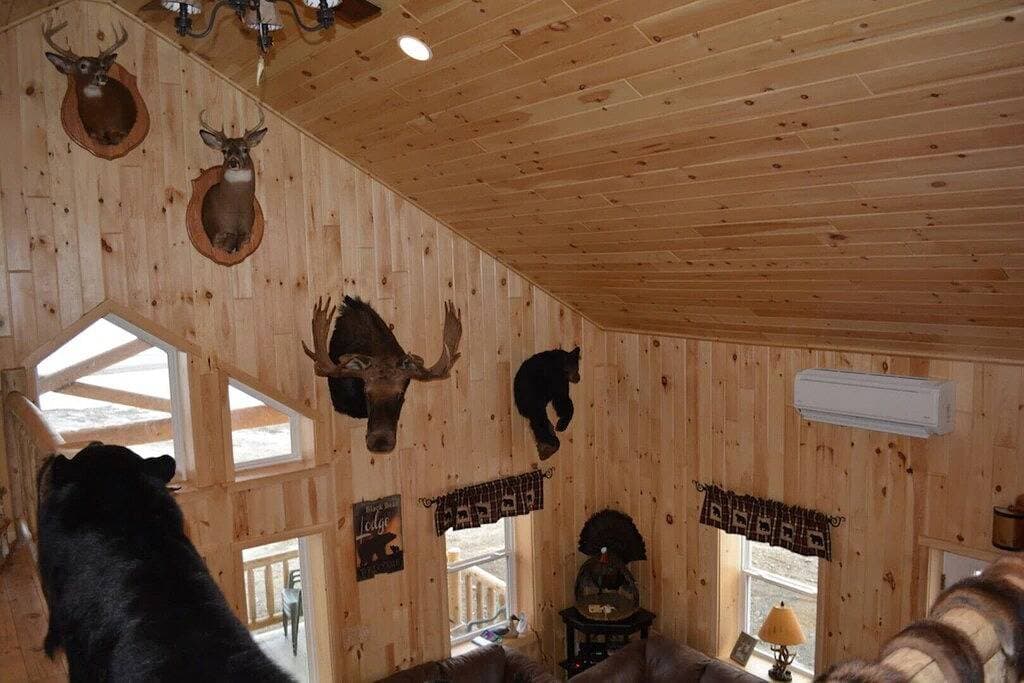 Foto 10 von 13: Black Bear Lodge