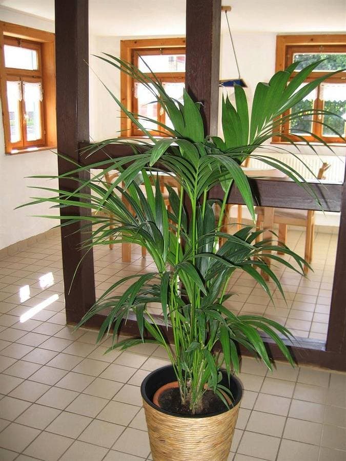 Foto 7 von 8: Ferienwohnung