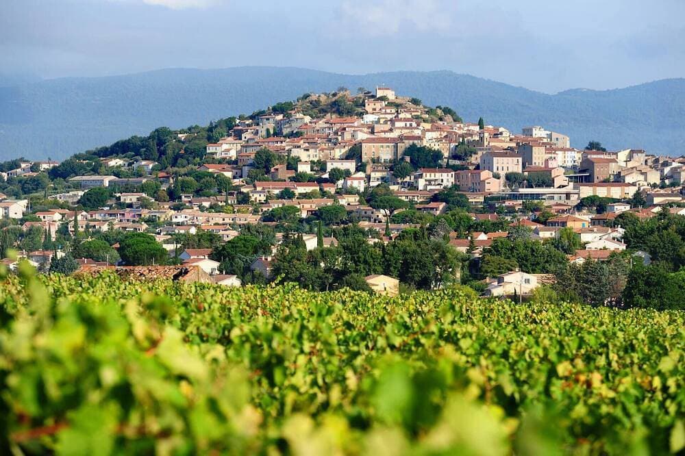 Foto 12 von 19: Appartement au Milieu des Vignes