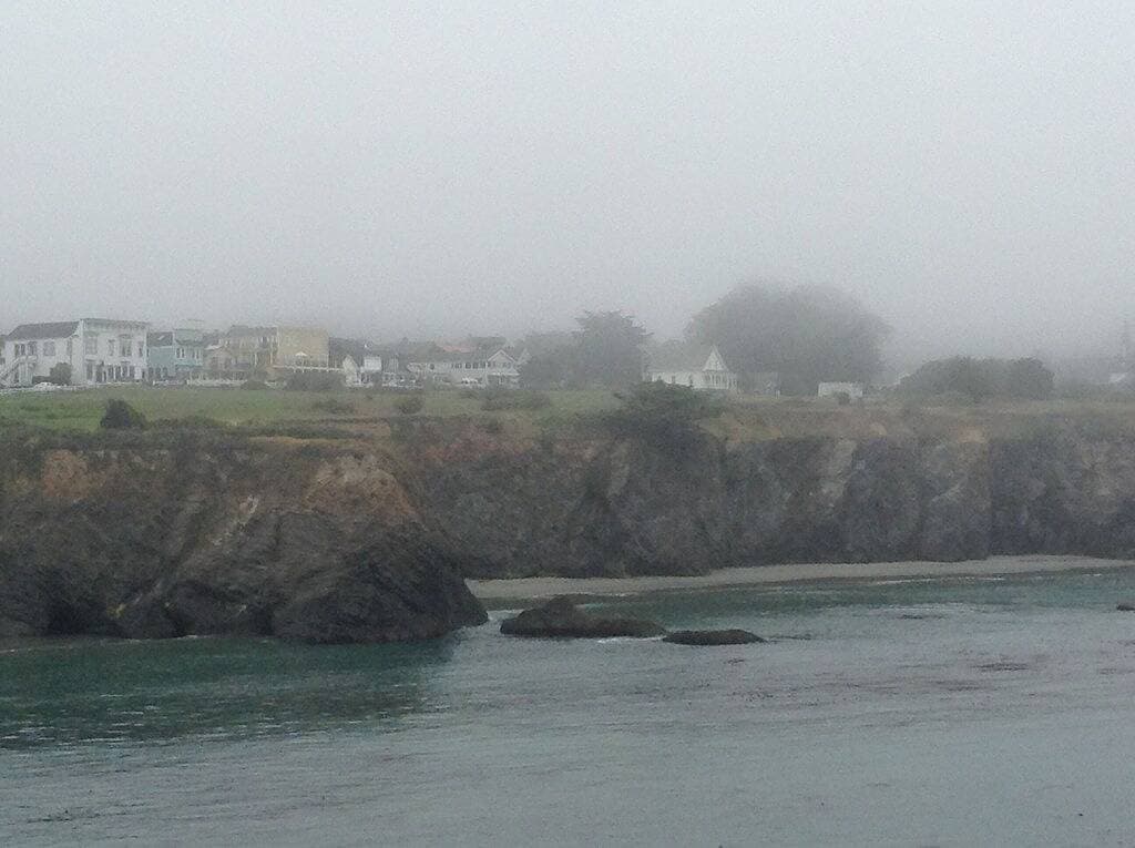 Foto 10 von 21: Private Cozy Cottage im Herzen von Mendocino Dorf