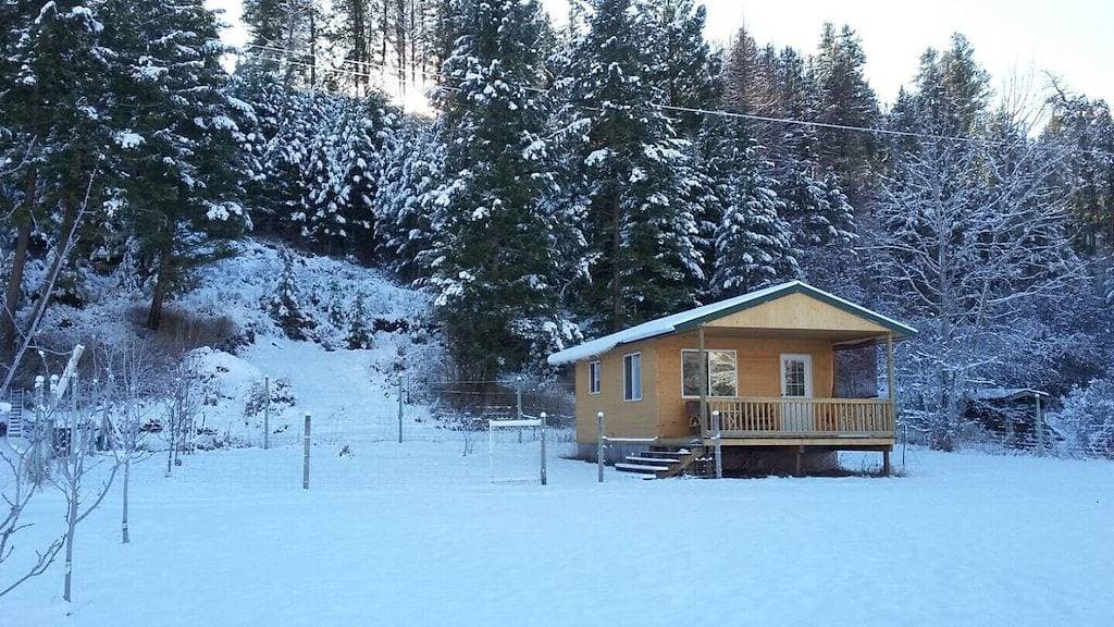 Foto 10 von 12: Gemütliche Hütte im Kettle Valley