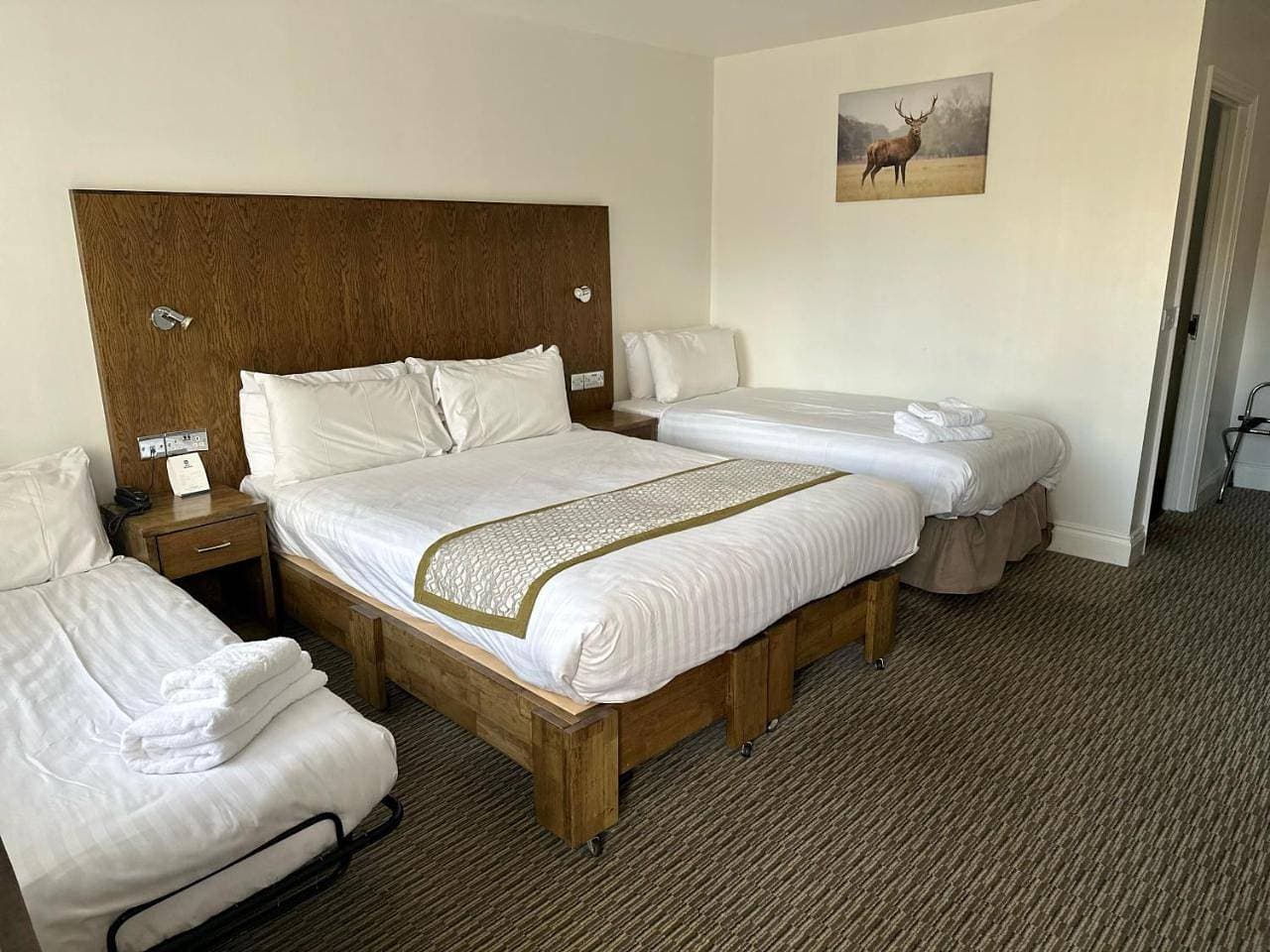 Foto 7 von 12: Family Room with Double and Single Beds - Non-Smoking