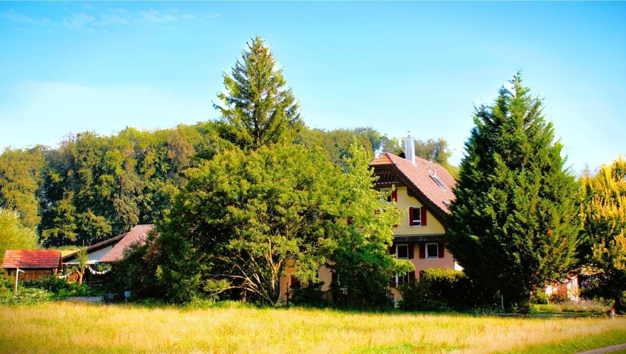 Nisihof, Seeblick Family or Single 1