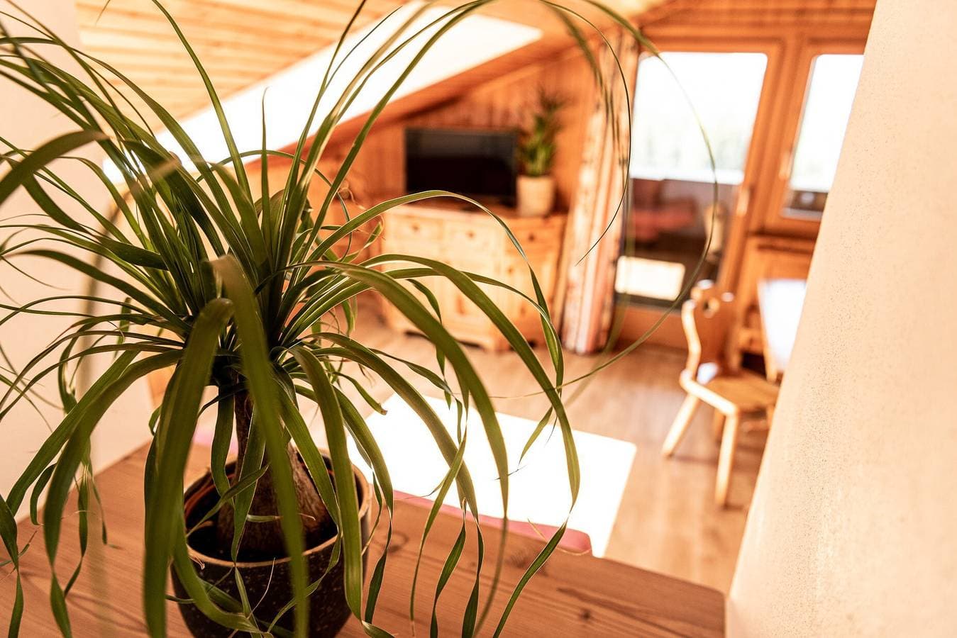 Foto 4 von 30: Apartment "Haus Lohengrin - Ferienwohnung 5" mit Bergblick, WLAN, Balkon und Garten