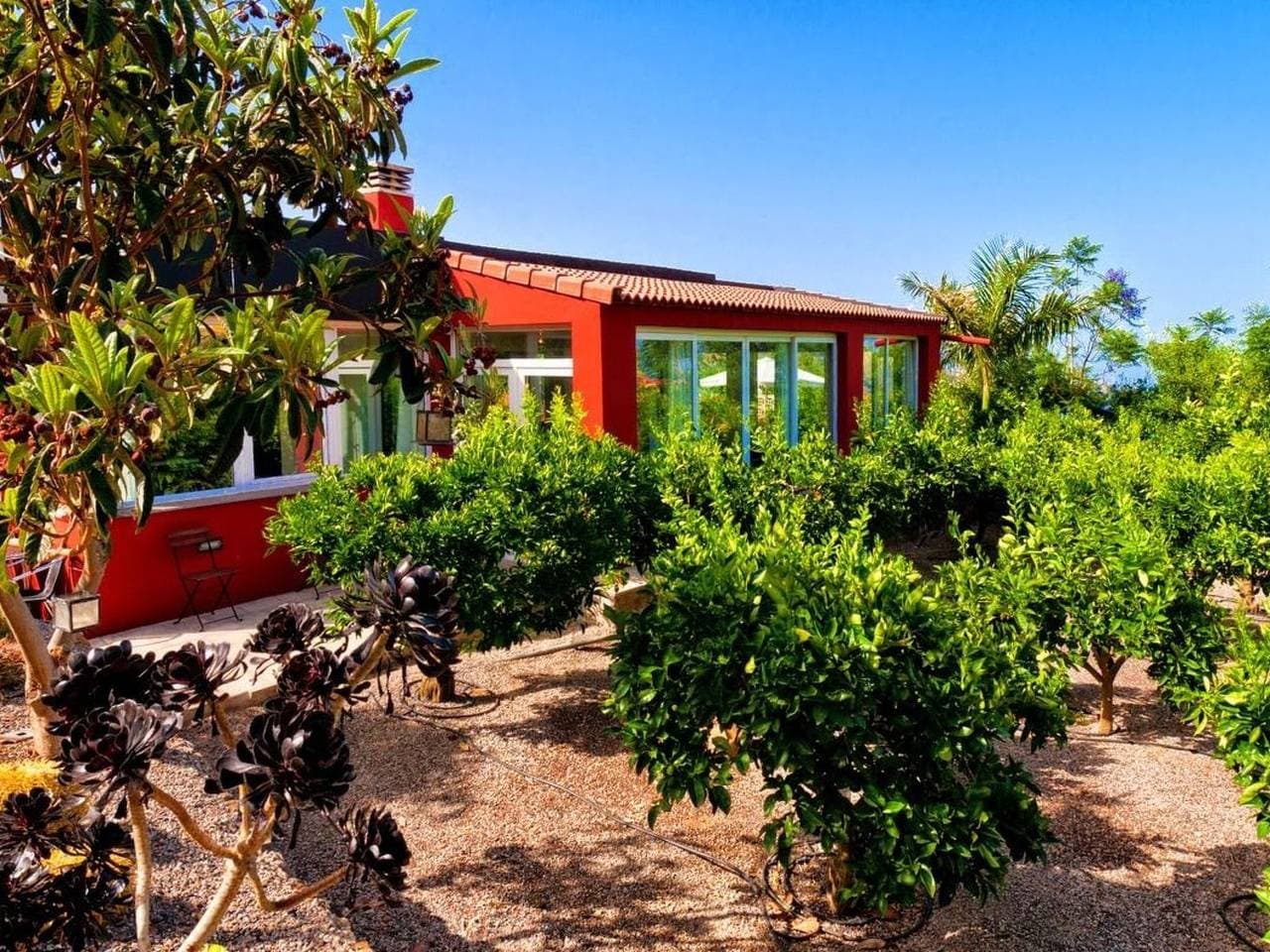 Foto 8 von 49: Finca mit Garten, Grill und Terrasse
