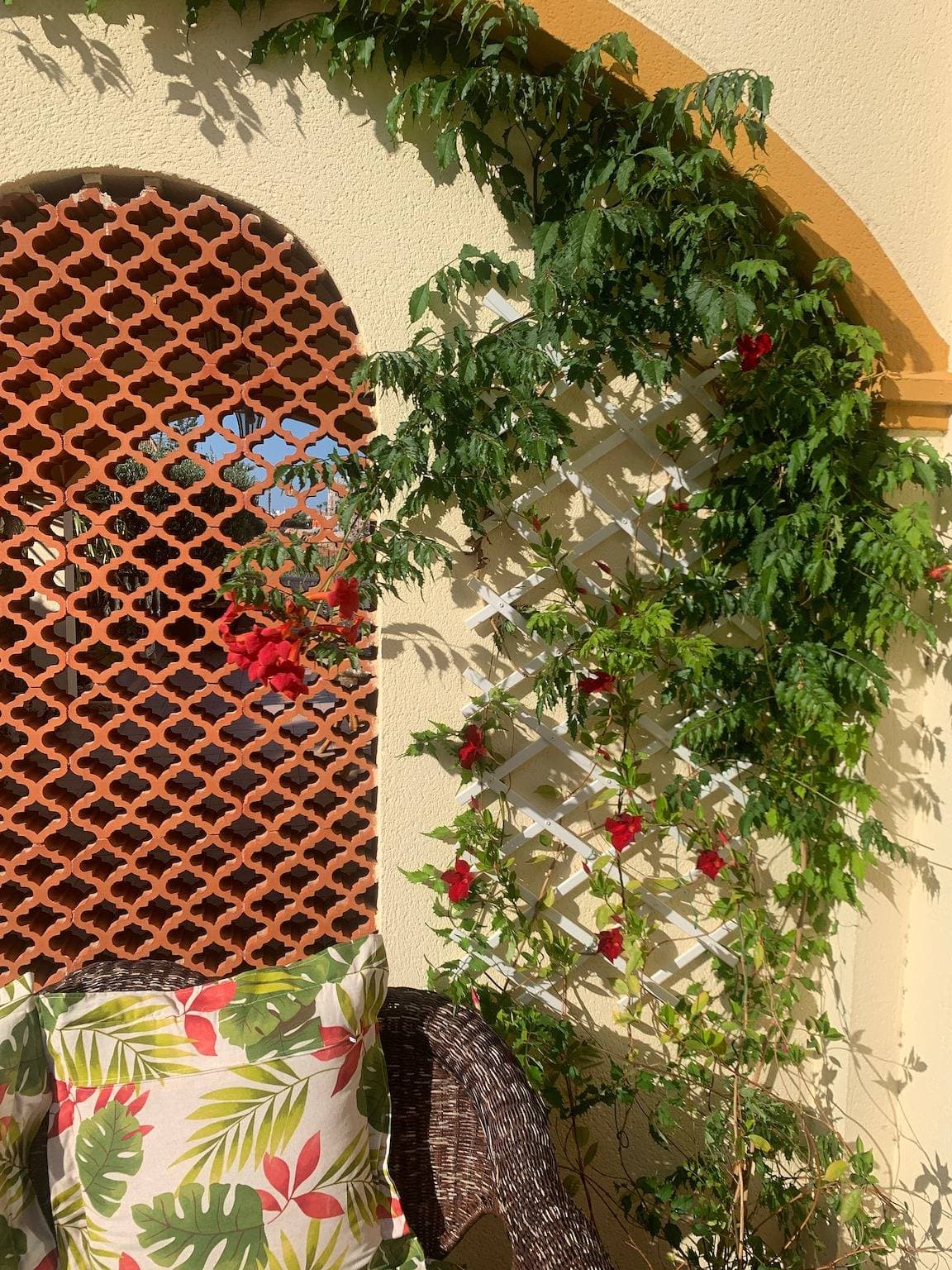 Foto 6 von 26: Charmante ganzjährige Villa mit privatem Solarium, Pool und ideal für Haustierbesitzer