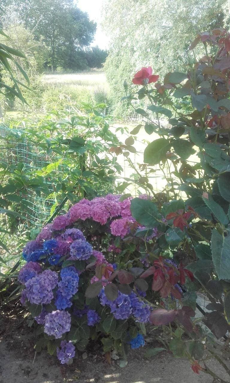 Foto 13 von 22: Les 2 Clos