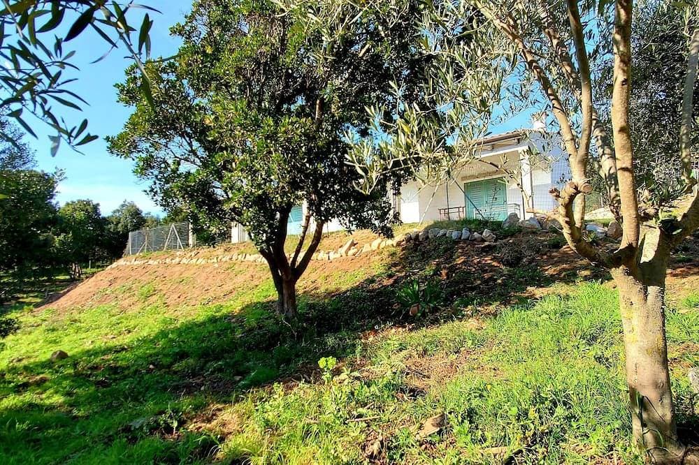 Foto 13 von 30: Villa Celeste / Private / Escape To Nature / Olive Groves / Sea Views