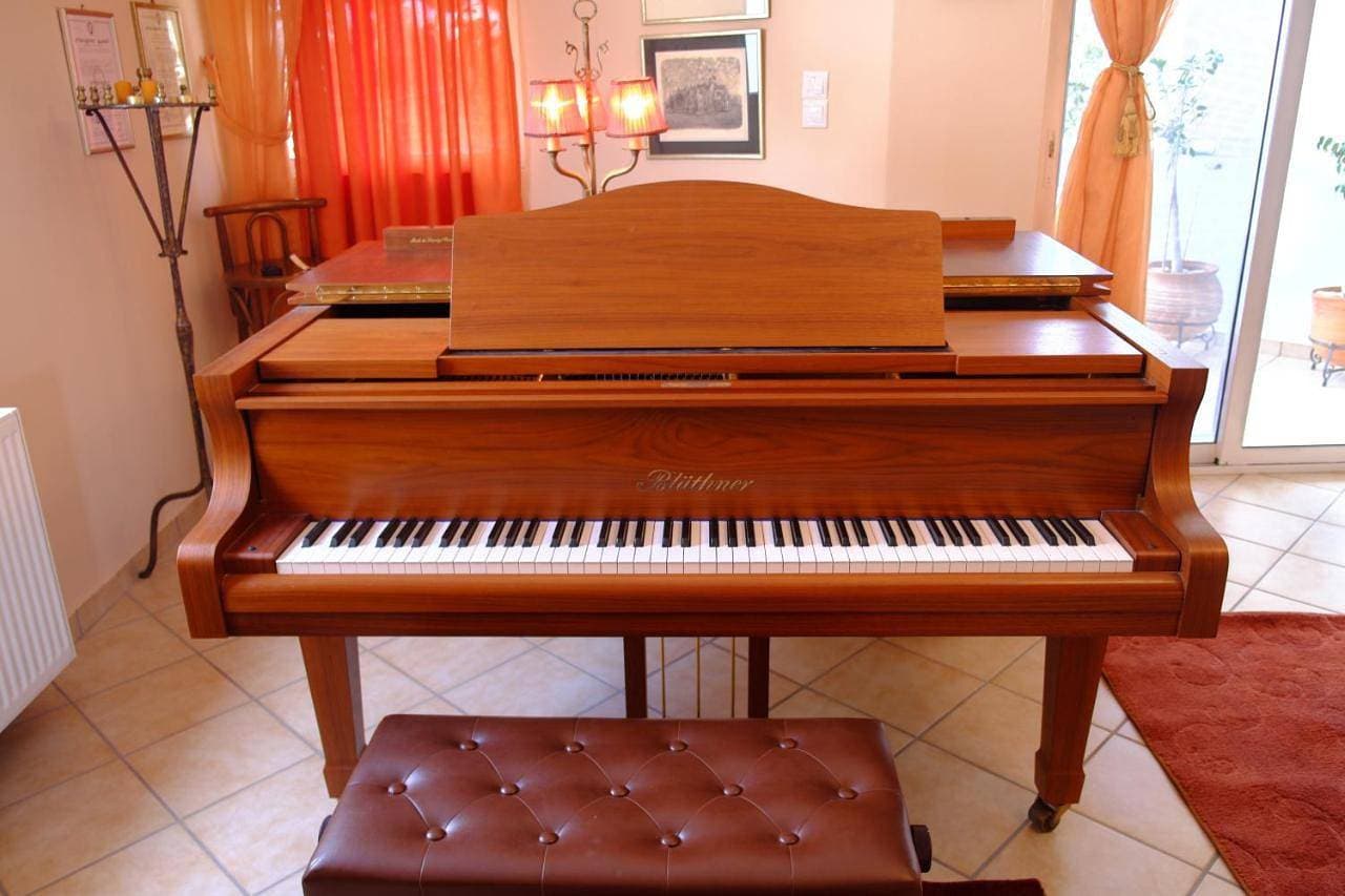 The Piano apartment 1